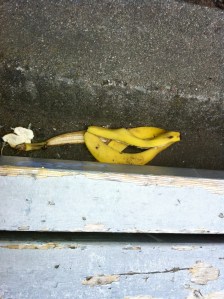 © watchoutbananapeel 2012