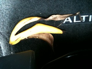 "This was in my friend Julie's car (an Altima rental), says Val. "She left it there a couple days". 