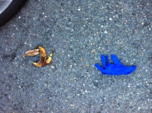 Spotted December 19, 8:23 AM, on Geary and 41st Ave. 