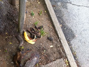 Back in Action: March 20 at 8:34 AM