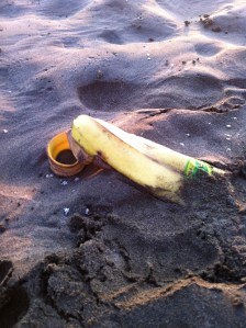 Spotted trying to blend in with the jellyfish, at 7:40 PM on May 3, Ocean Beach.