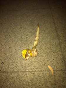 Spotted in Berkeley on Sacramento near Hopkins, May 18, 10:23 PM.