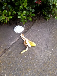 Spotted on July 9 at 5:10:40, Geary and 40th Avenue.