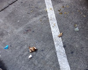 From the debris around this partial peel, I suspect a Tasmanian devil.