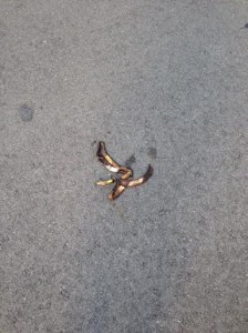 Thanks to Joey for spotting this slick and twisted reject on Zoe St, on Nov. 8.   