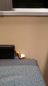 Justine caught this slippery character in the act on Bart, November 19.