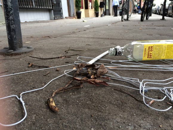 2015.10.12_Brooklyn2_DC