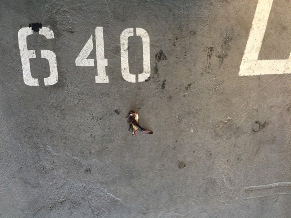 2015.8.10.1225PM_Monday