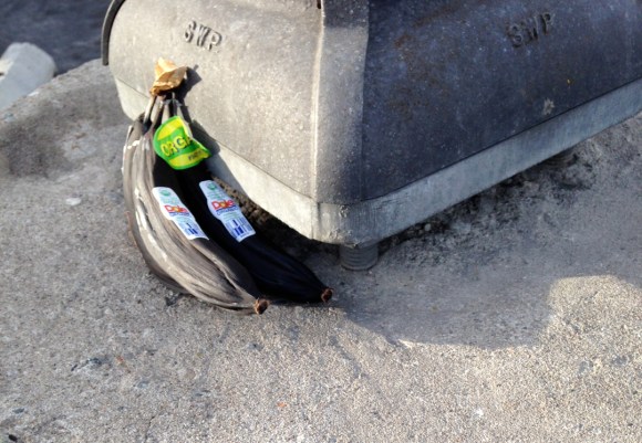 2015.9.27_522PMGelsons