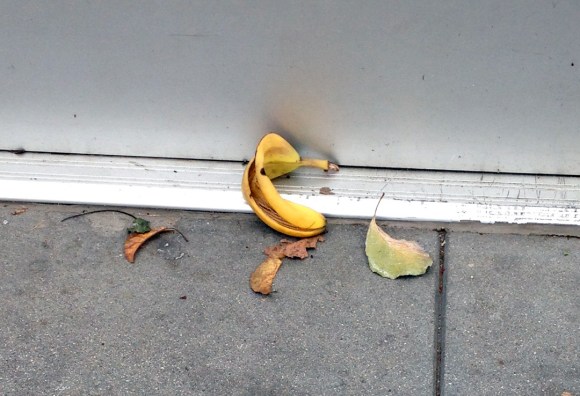 2016.1.9. Melrose Ave