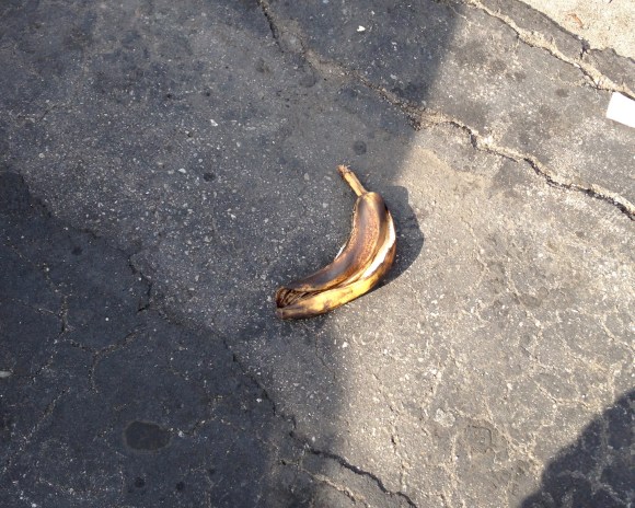 1.23.2016.houseofpies