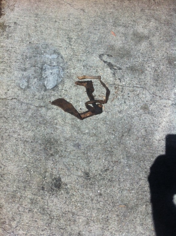 This one looks like a small, squished clown. Or maybe the dirty ribbon that I used to play with as a child? Or actually, I think it's my old teacher, Miss Katz-Butts. Whatever it is, it's trying to ruin my life!