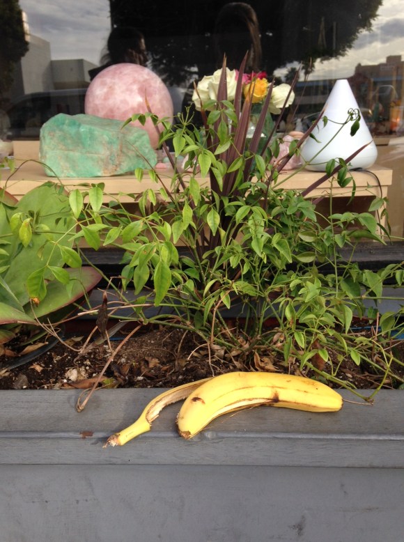 Watchout! New Age Horror