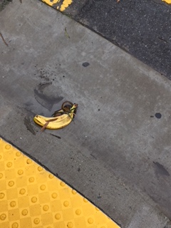 js_crosswalk_chestnut_powell_march23