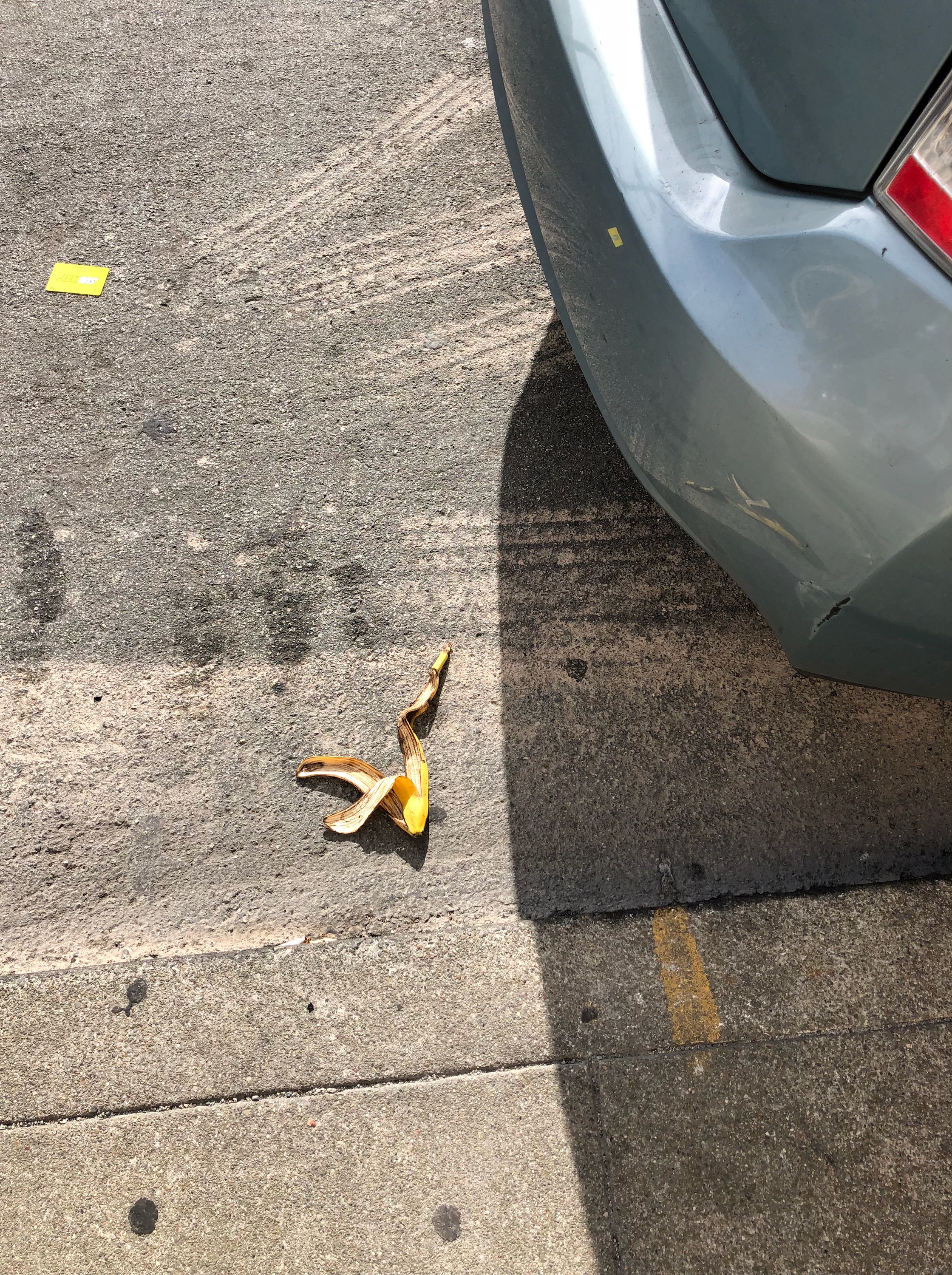 JS.8.6.18.21st and Geary outside the US Post Offic It looks as though it_s trying to crawl towards that yellow paper.jpegjpeg